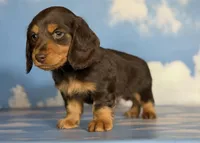 processed/dd81f2f3-748c-4c2d-ae61-b1a0f9012f17/listing/400079e9-e857-4838-8a51-24ac1a95492e/355e7d28-ad3a-4f43-8360-df24c769234e