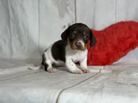 processed/dd81f2f3-748c-4c2d-ae61-b1a0f9012f17/listing/4e4a5ce8-7b44-4f49-a99a-bc83b8fa5efd/07f2aa42-eb4b-4934-997b-15f3d43e1189