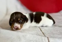 processed/dd81f2f3-748c-4c2d-ae61-b1a0f9012f17/listing/4e4a5ce8-7b44-4f49-a99a-bc83b8fa5efd/3cf421bc-5e5c-48ca-88af-daba4d76c5f6