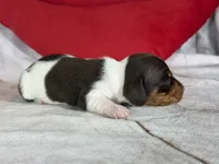 processed/dd81f2f3-748c-4c2d-ae61-b1a0f9012f17/listing/4e4a5ce8-7b44-4f49-a99a-bc83b8fa5efd/617a6075-b5c7-4af1-9a73-e9fceed27452