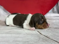 processed/dd81f2f3-748c-4c2d-ae61-b1a0f9012f17/listing/4e4a5ce8-7b44-4f49-a99a-bc83b8fa5efd/ba340274-5185-4494-a777-a18327af7ff5