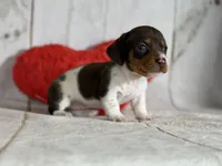 processed/dd81f2f3-748c-4c2d-ae61-b1a0f9012f17/listing/4e4a5ce8-7b44-4f49-a99a-bc83b8fa5efd/d9393563-1775-4efc-8fbc-110c218cf5c6