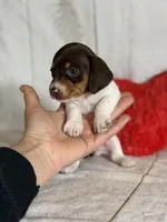 processed/dd81f2f3-748c-4c2d-ae61-b1a0f9012f17/listing/4e4a5ce8-7b44-4f49-a99a-bc83b8fa5efd/f1f9af99-c9cc-4590-9527-29fb08b4e484