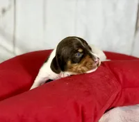 processed/dd81f2f3-748c-4c2d-ae61-b1a0f9012f17/listing/4e4a5ce8-7b44-4f49-a99a-bc83b8fa5efd/f577f8f8-29dc-4859-8dc1-03ce8b8a8b7d