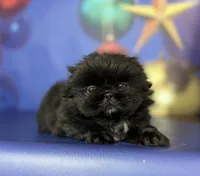 processed/dd81f2f3-748c-4c2d-ae61-b1a0f9012f17/listing/4eb8077b-eb3b-476a-963c-76f2a44c75bc/21f0f244-2304-498f-9699-90b22ee35251