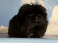 processed/dd81f2f3-748c-4c2d-ae61-b1a0f9012f17/listing/4eb8077b-eb3b-476a-963c-76f2a44c75bc/67450907-eef0-407a-b753-e10a0d4bd462