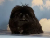 processed/dd81f2f3-748c-4c2d-ae61-b1a0f9012f17/listing/4eb8077b-eb3b-476a-963c-76f2a44c75bc/85eeae98-f7b5-4dec-9ad1-5dc77b0f7e10