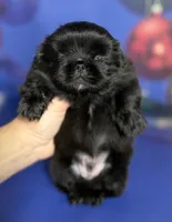 processed/dd81f2f3-748c-4c2d-ae61-b1a0f9012f17/listing/4eb8077b-eb3b-476a-963c-76f2a44c75bc/bf280af8-36f1-46bc-b3b0-25076eb5c143