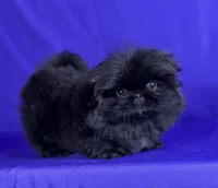 processed/dd81f2f3-748c-4c2d-ae61-b1a0f9012f17/listing/4eb8077b-eb3b-476a-963c-76f2a44c75bc/d252272b-2d25-4289-8e44-71ddc779f1a0