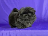 processed/dd81f2f3-748c-4c2d-ae61-b1a0f9012f17/listing/4eb8077b-eb3b-476a-963c-76f2a44c75bc/d68a04fd-c2fa-453e-99ca-ce45668ce1b1