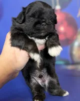 processed/dd81f2f3-748c-4c2d-ae61-b1a0f9012f17/listing/57f9e40f-7a4e-432b-8a71-67445a68f5ba/90cf71cc-2093-4df4-a427-7777f6b88f43