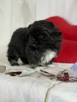 processed/dd81f2f3-748c-4c2d-ae61-b1a0f9012f17/listing/57f9e40f-7a4e-432b-8a71-67445a68f5ba/be4e5fdc-cb5d-4b45-b0f8-8e576d8ee6d4