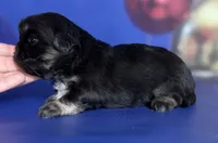 processed/dd81f2f3-748c-4c2d-ae61-b1a0f9012f17/listing/5b6da73b-3195-4f0f-aa31-a465236ba888/07f4a466-37e9-4c1d-95f7-f88144675987