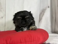 processed/dd81f2f3-748c-4c2d-ae61-b1a0f9012f17/listing/5b6da73b-3195-4f0f-aa31-a465236ba888/4b76d305-3f00-4c4d-aae8-5d2748729d92