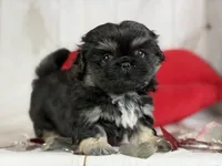 processed/dd81f2f3-748c-4c2d-ae61-b1a0f9012f17/listing/5b6da73b-3195-4f0f-aa31-a465236ba888/bb9538ac-fe87-45b4-94bc-d1b8aee6aee8