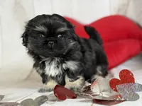 processed/dd81f2f3-748c-4c2d-ae61-b1a0f9012f17/listing/5b6da73b-3195-4f0f-aa31-a465236ba888/f76c94f9-3d7b-4326-9539-5e401e246da4