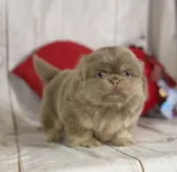 processed/dd81f2f3-748c-4c2d-ae61-b1a0f9012f17/listing/98dfea75-b832-48b2-8399-a17a6f4867f4/66b51ce9-f9bc-41ee-9edf-b0bc0f0c8466