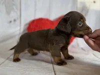 processed/dd81f2f3-748c-4c2d-ae61-b1a0f9012f17/listing/9db5eb3d-1569-4def-ba9d-7ea9ccd6330c/23322081-0051-4f3d-a954-321095d294ef