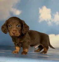 processed/dd81f2f3-748c-4c2d-ae61-b1a0f9012f17/listing/9db5eb3d-1569-4def-ba9d-7ea9ccd6330c/64ec5371-fd6e-4052-950c-ee8cbc1cc77d