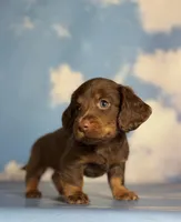 processed/dd81f2f3-748c-4c2d-ae61-b1a0f9012f17/listing/9db5eb3d-1569-4def-ba9d-7ea9ccd6330c/9ed99eb5-ecf2-498b-b8ba-ecb6e6bc5d51