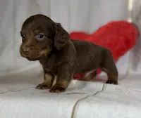 processed/dd81f2f3-748c-4c2d-ae61-b1a0f9012f17/listing/9db5eb3d-1569-4def-ba9d-7ea9ccd6330c/a61488b1-0f92-406a-93a0-e1ffa1bb388c