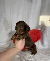 processed/dd81f2f3-748c-4c2d-ae61-b1a0f9012f17/listing/9db5eb3d-1569-4def-ba9d-7ea9ccd6330c/b100d646-46ce-46a7-bdeb-b8d5c5b071a5