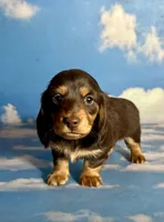 processed/dd81f2f3-748c-4c2d-ae61-b1a0f9012f17/listing/ccc16d01-9193-4560-98c5-99adbcd080f9/a3f8f87f-41bc-47f6-bc97-fff535bcd224