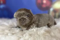 processed/dd81f2f3-748c-4c2d-ae61-b1a0f9012f17/listing/ef00faba-9aa7-45c6-ad22-bd1b6d39d08f/015f6e17-f0a4-4c88-aff5-3e92ec8c9657