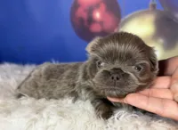 processed/dd81f2f3-748c-4c2d-ae61-b1a0f9012f17/listing/ef00faba-9aa7-45c6-ad22-bd1b6d39d08f/7911a8eb-8f9a-46b2-b084-bbab06df3632