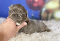 processed/dd81f2f3-748c-4c2d-ae61-b1a0f9012f17/listing/ef00faba-9aa7-45c6-ad22-bd1b6d39d08f/84737a65-ebf1-4158-9884-86eb4d9a15d8