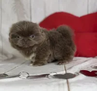 processed/dd81f2f3-748c-4c2d-ae61-b1a0f9012f17/listing/ef00faba-9aa7-45c6-ad22-bd1b6d39d08f/ada75374-1df3-4558-914a-b4ac21603518