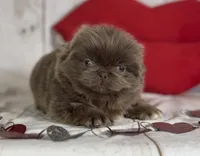 processed/dd81f2f3-748c-4c2d-ae61-b1a0f9012f17/listing/ef00faba-9aa7-45c6-ad22-bd1b6d39d08f/e45ccf53-ecb4-457c-affc-9a89a7123969