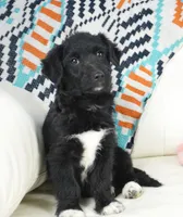 processed/dd84ca74-1644-4a16-b3c2-8b7fb8d7a7d7/listing/2016398e-9847-4bf6-a53d-acc270771113/2c1279e7-19a4-4054-af1d-b77b3e75e6e2