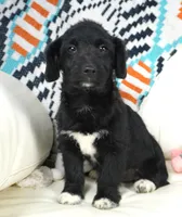 processed/dd84ca74-1644-4a16-b3c2-8b7fb8d7a7d7/listing/2016398e-9847-4bf6-a53d-acc270771113/5a2bedb2-7f0a-4651-a3b1-591898c0a909