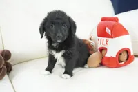 processed/dd84ca74-1644-4a16-b3c2-8b7fb8d7a7d7/listing/2016398e-9847-4bf6-a53d-acc270771113/6f44256f-efb9-46c6-ab27-2e8de1c44d7d