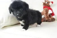 processed/dd84ca74-1644-4a16-b3c2-8b7fb8d7a7d7/listing/2016398e-9847-4bf6-a53d-acc270771113/8f013801-b5e5-43c2-898f-6c2ea677a179