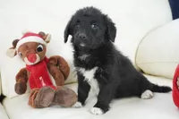 processed/dd84ca74-1644-4a16-b3c2-8b7fb8d7a7d7/listing/2016398e-9847-4bf6-a53d-acc270771113/95092dfe-3635-4906-968e-def57b5bf7a5