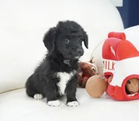 processed/dd84ca74-1644-4a16-b3c2-8b7fb8d7a7d7/listing/2016398e-9847-4bf6-a53d-acc270771113/c9ac790f-cad1-4cbd-8c9a-77a65b186c7c