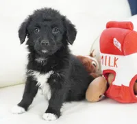 processed/dd84ca74-1644-4a16-b3c2-8b7fb8d7a7d7/listing/2016398e-9847-4bf6-a53d-acc270771113/dbd314d5-8320-4456-98a0-d669c358ac59