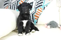 processed/dd84ca74-1644-4a16-b3c2-8b7fb8d7a7d7/listing/2016398e-9847-4bf6-a53d-acc270771113/dc3efce3-562e-464d-8998-dde8b2cd1523