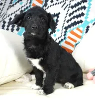 processed/dd84ca74-1644-4a16-b3c2-8b7fb8d7a7d7/listing/2016398e-9847-4bf6-a53d-acc270771113/e62017de-a738-4be8-82a6-56db7662c801