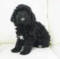 processed/dd84ca74-1644-4a16-b3c2-8b7fb8d7a7d7/listing/481bf7bb-4f5e-4b4c-b728-a76e9cbbc582/dce432c5-5951-4a11-b4be-daccb97ec2a1