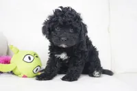 processed/dd84ca74-1644-4a16-b3c2-8b7fb8d7a7d7/listing/481bf7bb-4f5e-4b4c-b728-a76e9cbbc582/fca359fa-bd5e-4f1d-8803-283d5567910e