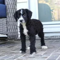 processed/dd84ca74-1644-4a16-b3c2-8b7fb8d7a7d7/listing/5d8cf5b6-86b9-4431-8c54-8785e561e318/3e82c276-3272-49a5-bc86-b0604503e6bc