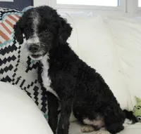 processed/dd84ca74-1644-4a16-b3c2-8b7fb8d7a7d7/listing/5d8cf5b6-86b9-4431-8c54-8785e561e318/b3ae4b0b-e449-4da6-8758-2ddba83b2c6f