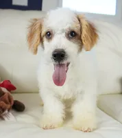 processed/dd84ca74-1644-4a16-b3c2-8b7fb8d7a7d7/listing/802c0227-6b06-4cb9-9ff6-5c140a23d716/00088624-7bdf-4e2a-abbd-1babc25e899c