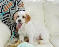 processed/dd84ca74-1644-4a16-b3c2-8b7fb8d7a7d7/listing/802c0227-6b06-4cb9-9ff6-5c140a23d716/29a00f5e-f67c-4585-96c4-b662a871d2b1