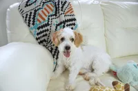 processed/dd84ca74-1644-4a16-b3c2-8b7fb8d7a7d7/listing/802c0227-6b06-4cb9-9ff6-5c140a23d716/a54a9883-c6ec-4827-b3f5-48d7025c80f3