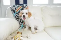 processed/dd84ca74-1644-4a16-b3c2-8b7fb8d7a7d7/listing/802c0227-6b06-4cb9-9ff6-5c140a23d716/c970672a-06a8-4bc8-a0f9-3268552f1320