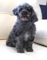 processed/dd84ca74-1644-4a16-b3c2-8b7fb8d7a7d7/listing/836ef961-1199-4a1c-a88b-e2d76a664d49/5cfb569c-55ab-4a45-8efb-ed96e74109df